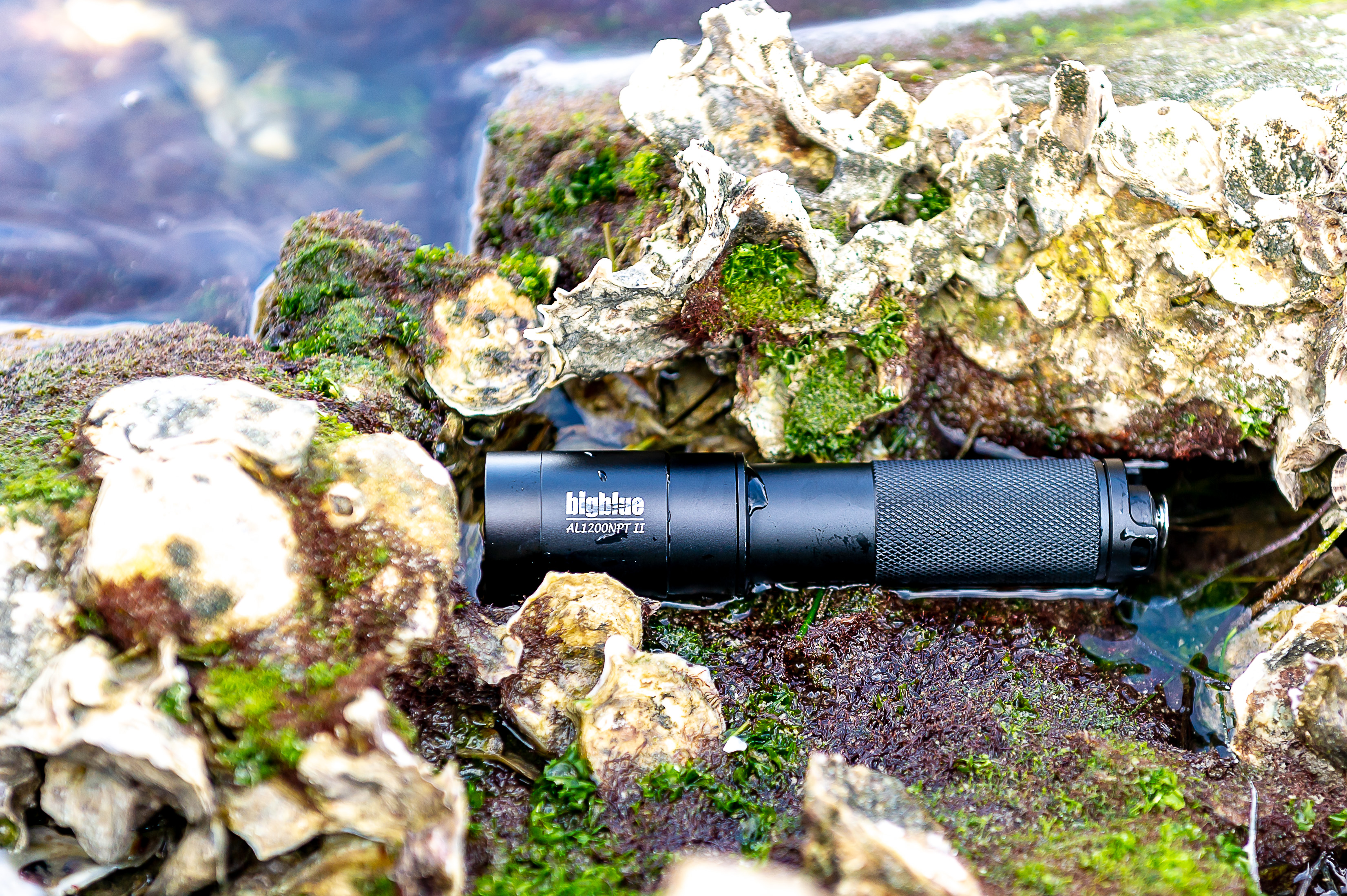 1300-Lumen Narrow-Beam Light with Tail SwitchSKU: AL1300NPT