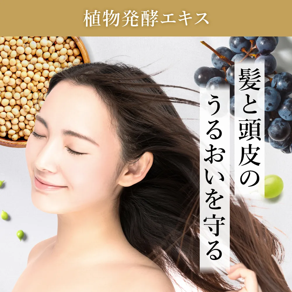 ヘアカラートリートメント｜プロダクト｜【公式】biseno（ビセノ）