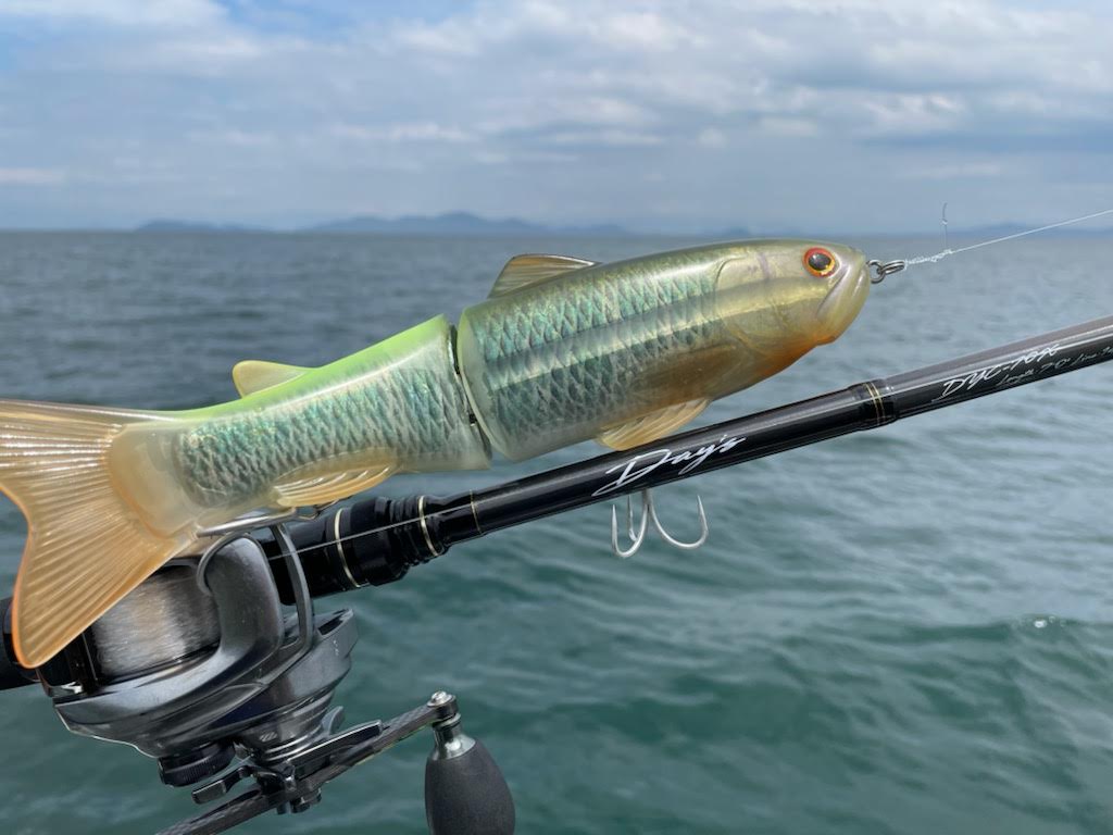 スライドスイマー250で初フィッシュ／2021.6.12（琵琶湖ボート