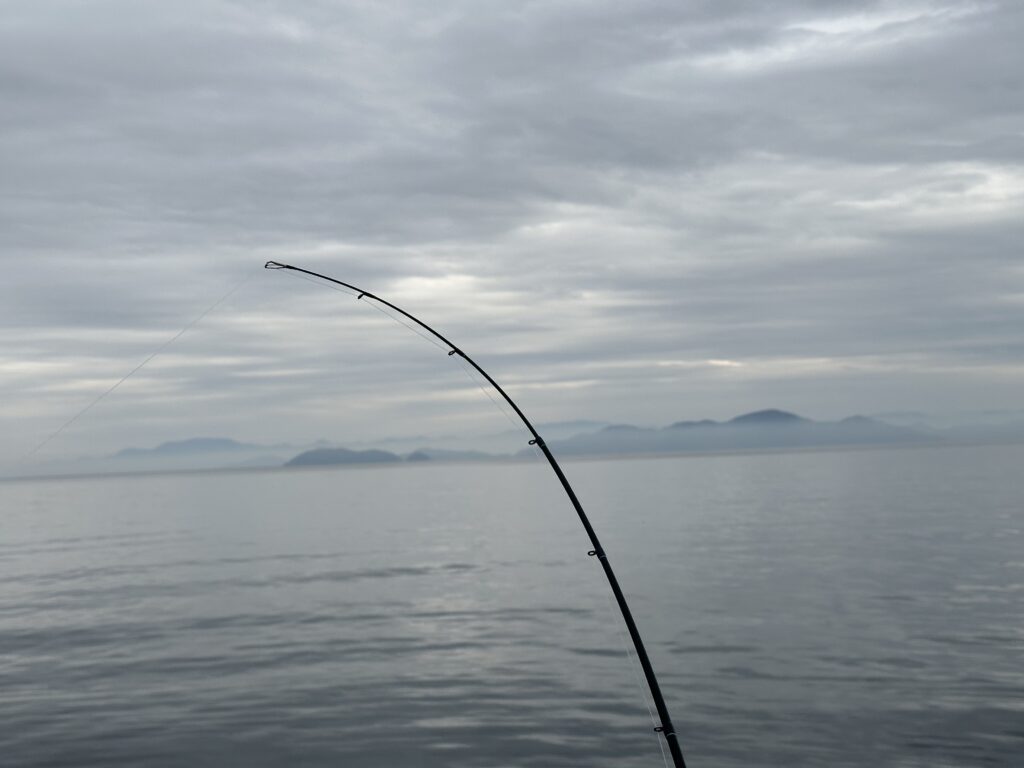 デジーノ スラング/ハングアウトをインプレ | 琵琶湖バスライフ