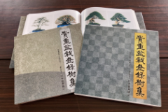 協会案内 | 【公式】一般社団法人 日本盆栽協会