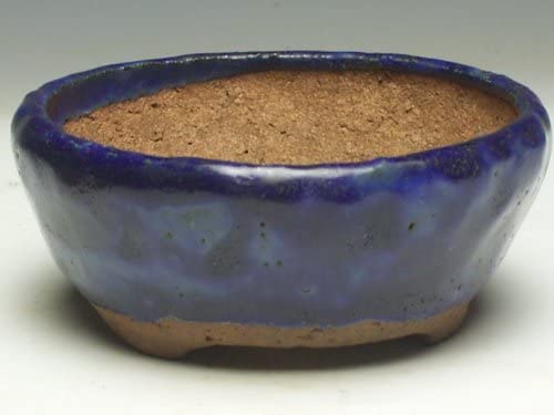 盆栽鉢「平安東福寺」とは