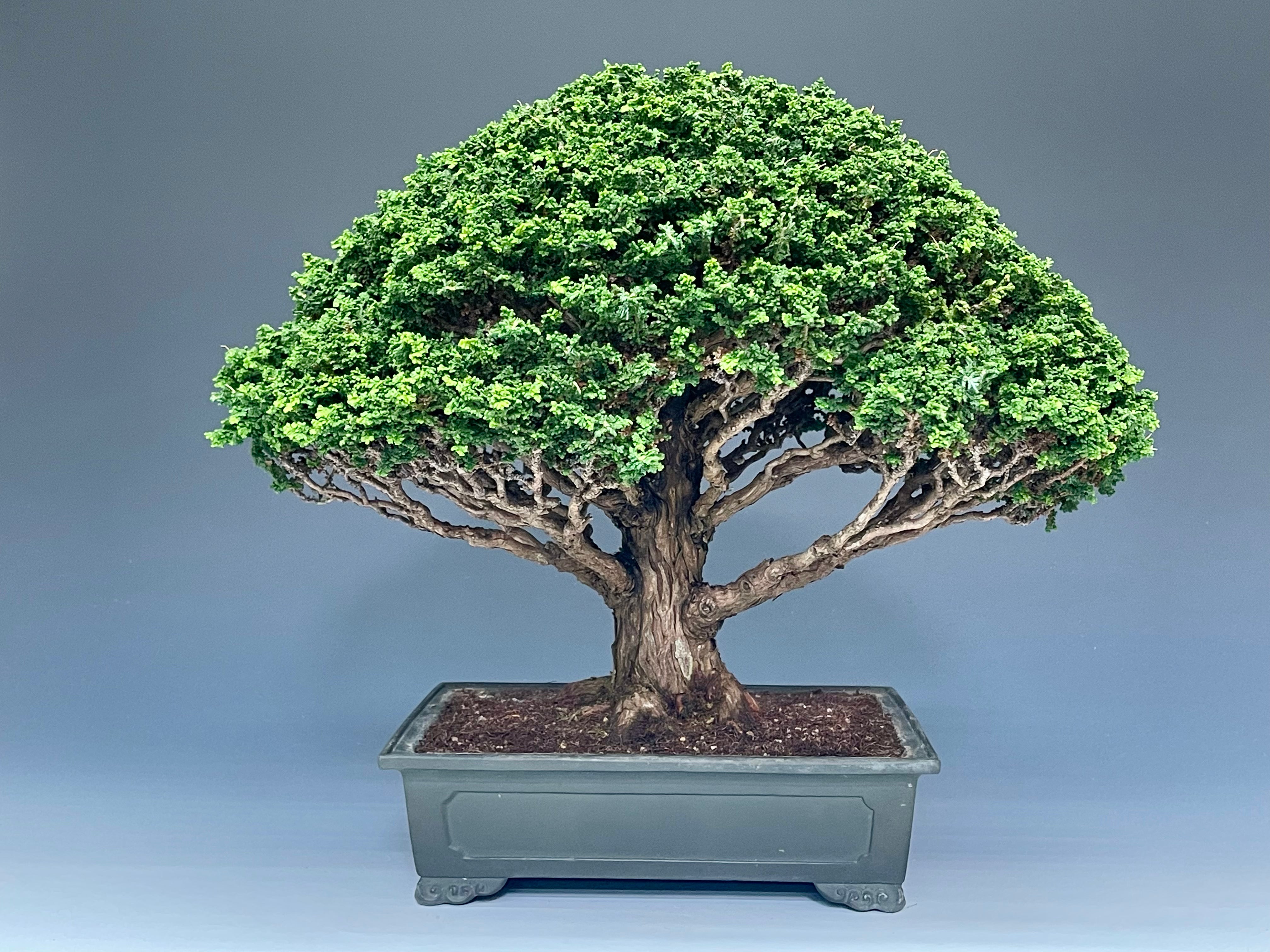 21E88C4E-AA85-46AE-B31E-