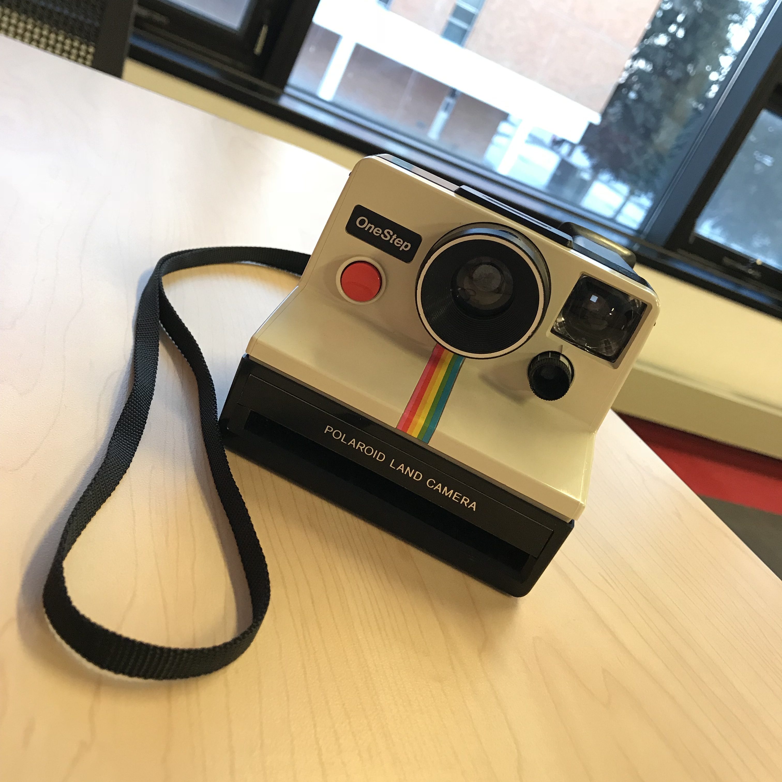 ポラロイド ボックスカメラのフロッグタン – Bob's Polaroid Works