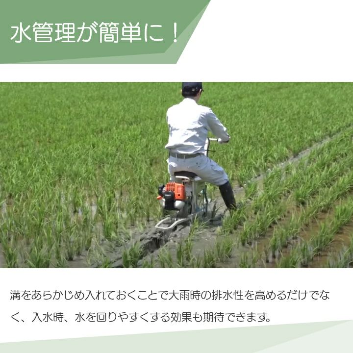 000000000865-02-l.jpg?t=