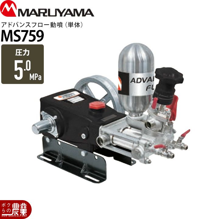 000000000205-01-l.jpg?t=