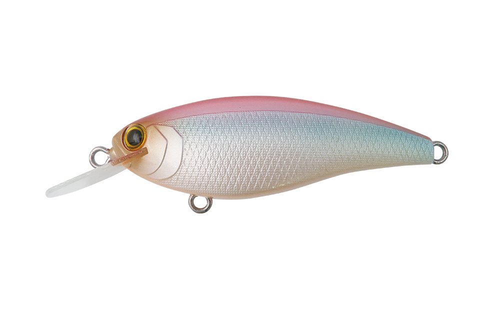 REAZZY APPEAL PLUS(リズィーアピールプラス) – Bottomup(ボトムアップ