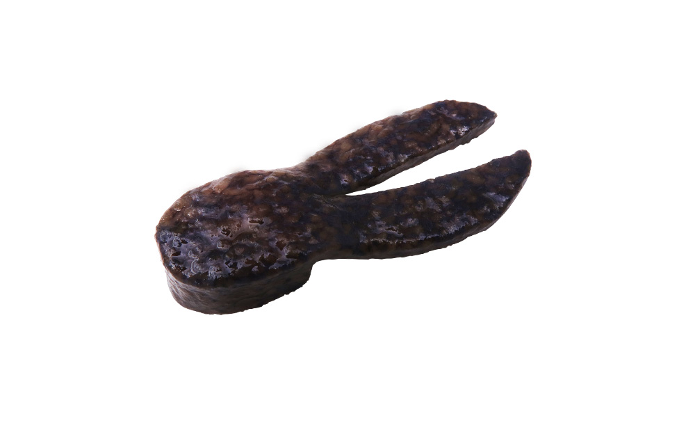 BU Daddy Jr.【オンラインストア限定】 – Bottomup(ボトムアップ)公式