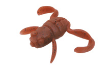 ScooperFrogMagnum(スクーパーフロッグマグナム) – Bottomup(ボトム