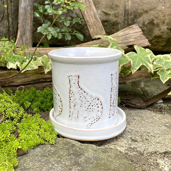 モニカ M 植木鉢 受け皿付 HO-2711WH – ボウクス・タイルマーケット