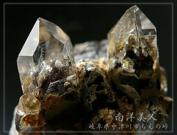 南洋美人 | 虚空座標