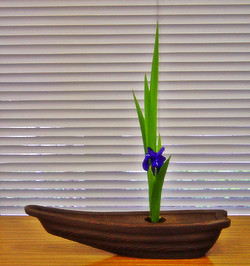 おはなの部屋 燕子花の生花「泊船」