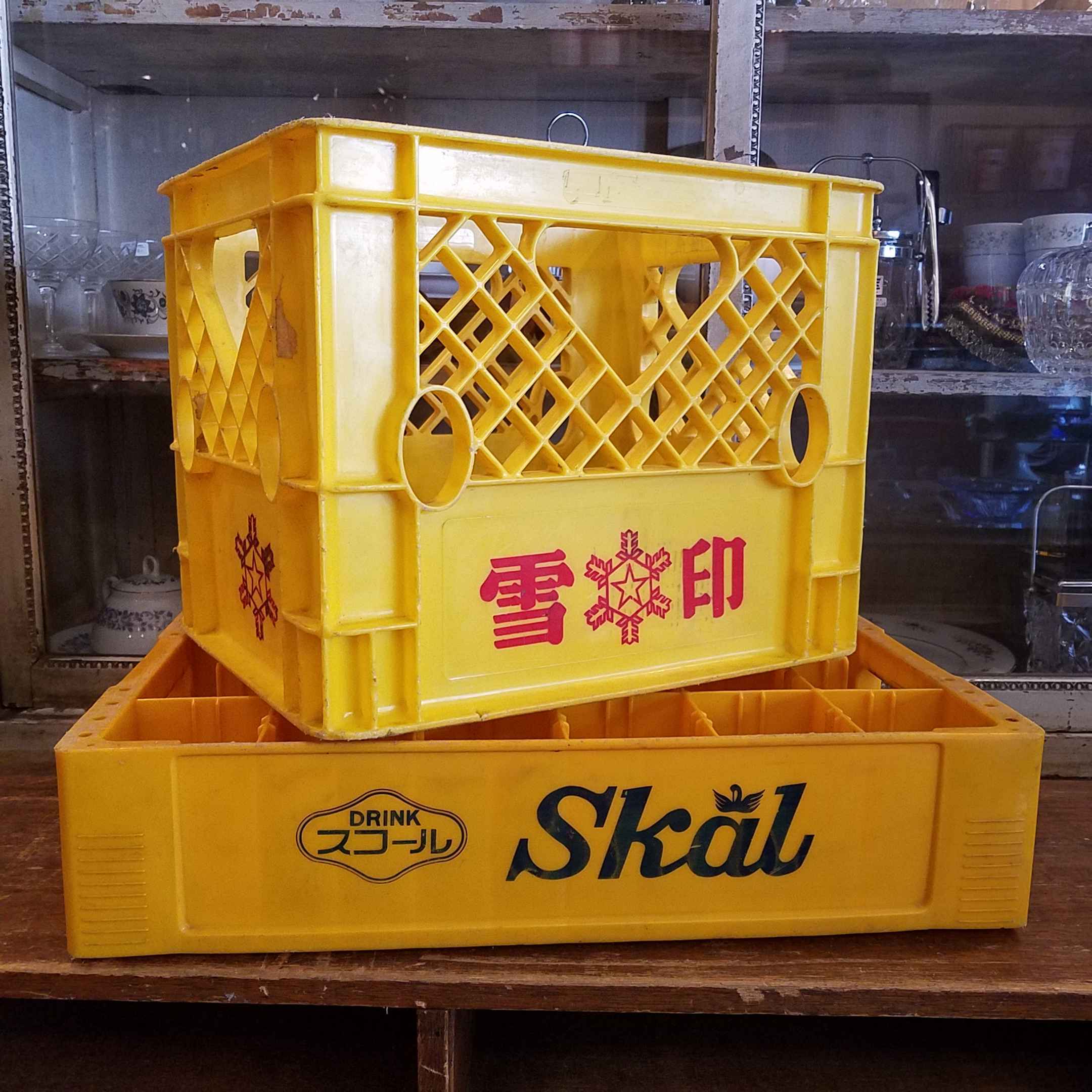 昭和レトロな雪印＆スコールのプラケース - [Sold Out]過去の販売商品