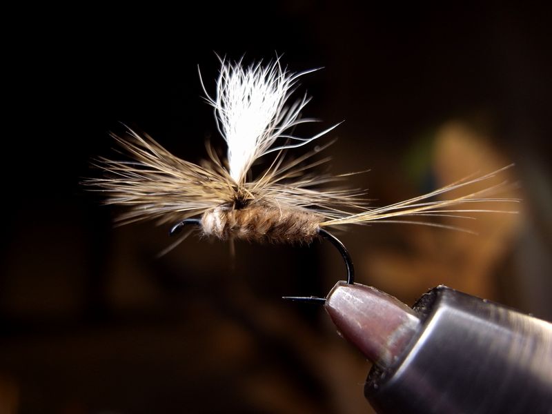 Whiting High & Dry Hackle Dyed Tan Grizzly | BIZENアングラ