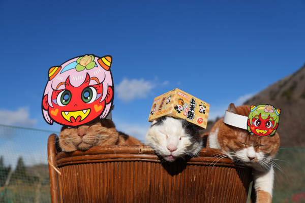 節分 でん六 マメドル鬼 2025 | かご猫 Blog