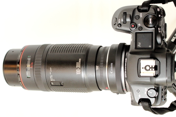 Canon EF100-300mm F5.6L レビュー - 我がカメラこそ我が意志