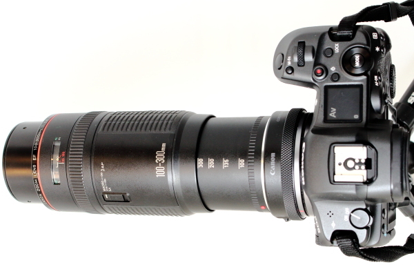 ✨ふんわりなボケ味✨Canon EF 100-300mm F5.6 フェアリー Canon EF100