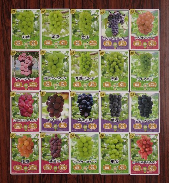 生坂村で「ぶどうカード」第2弾ができました | 来て！観て！松本『彩