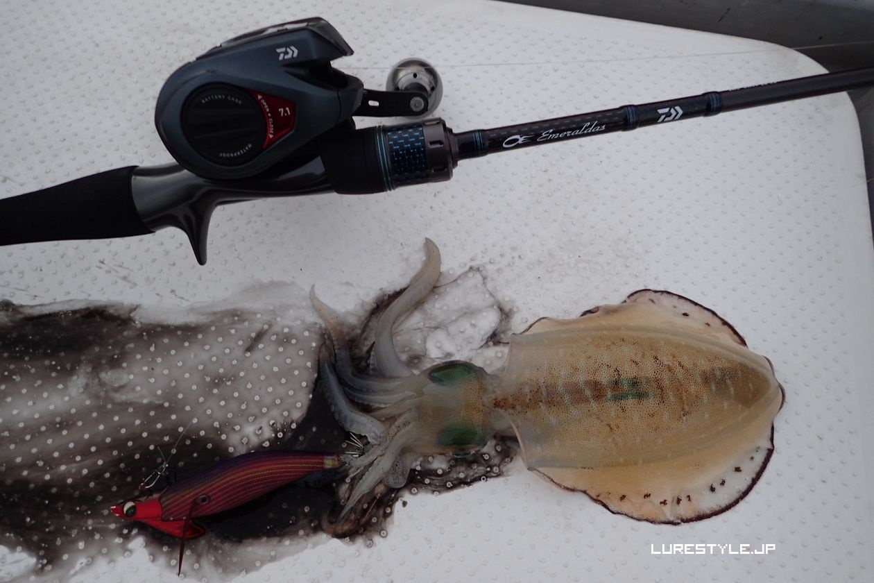 ベイトタックルでティップランエギング ｜ blog@lurestyle