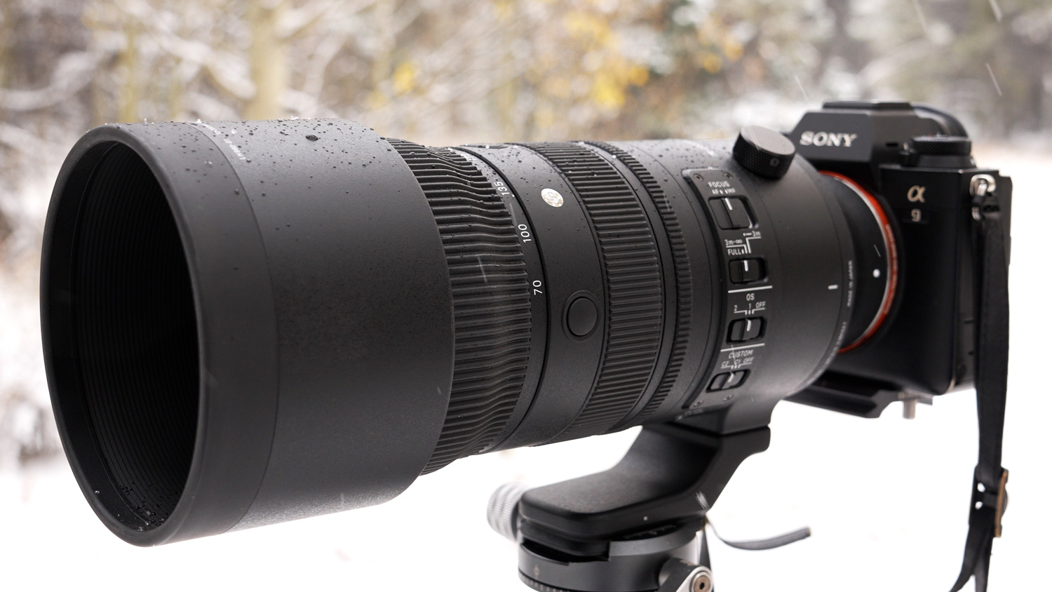 First Look: SIGMA 70-200mm F2.8 DG DN OS Sports Lens for Sony E