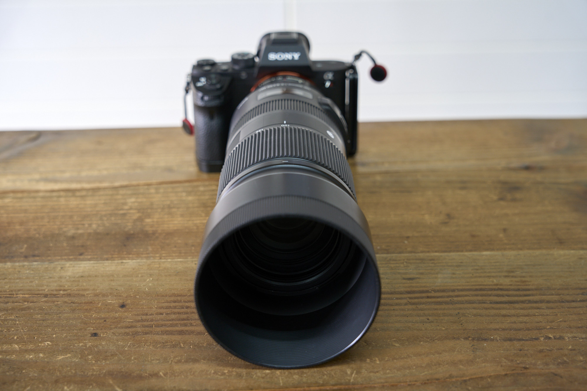 SIGMA 100-400mm F5-6.3 DG OS HSM のレビュー その1 – リフLOG