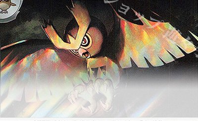 PROMO あったかピカチュウ 販売 | XY プロモーションカード【001〜100