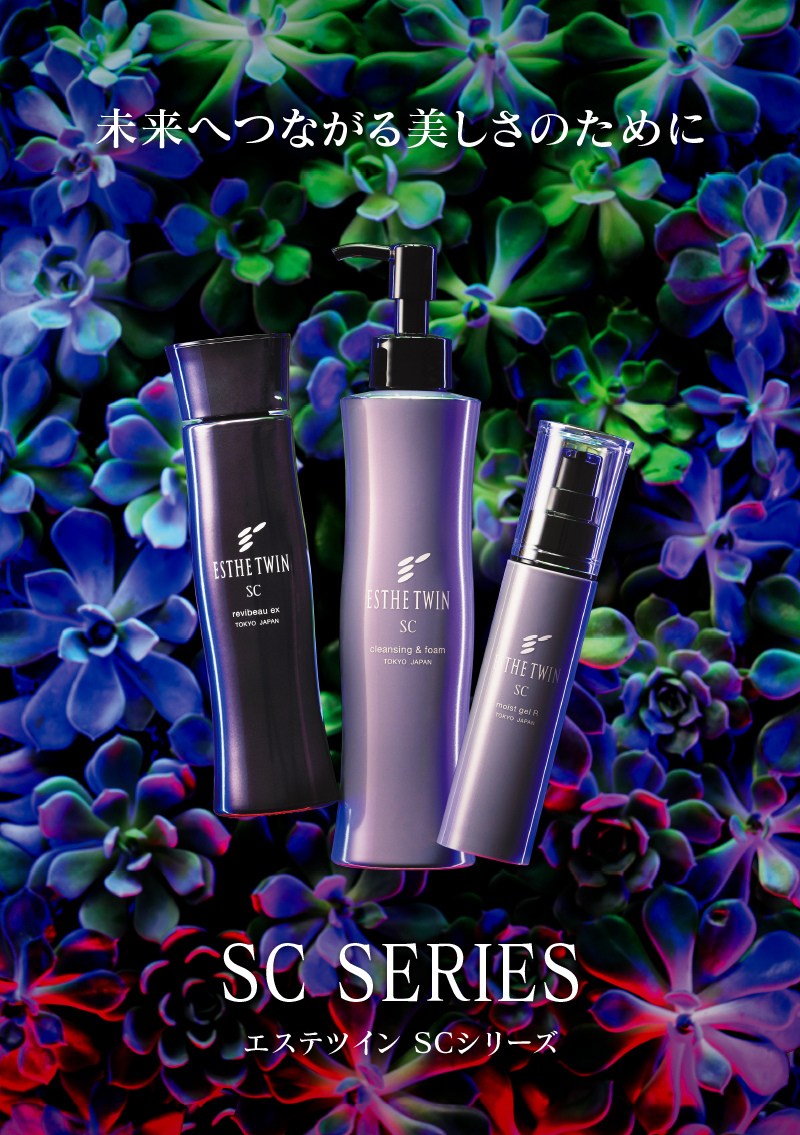 エステツイン8点セット エステツイン8点セット ESTHE TWIN エステ