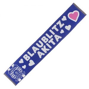 3.25 グッズ情報 | ブラウブリッツ秋田