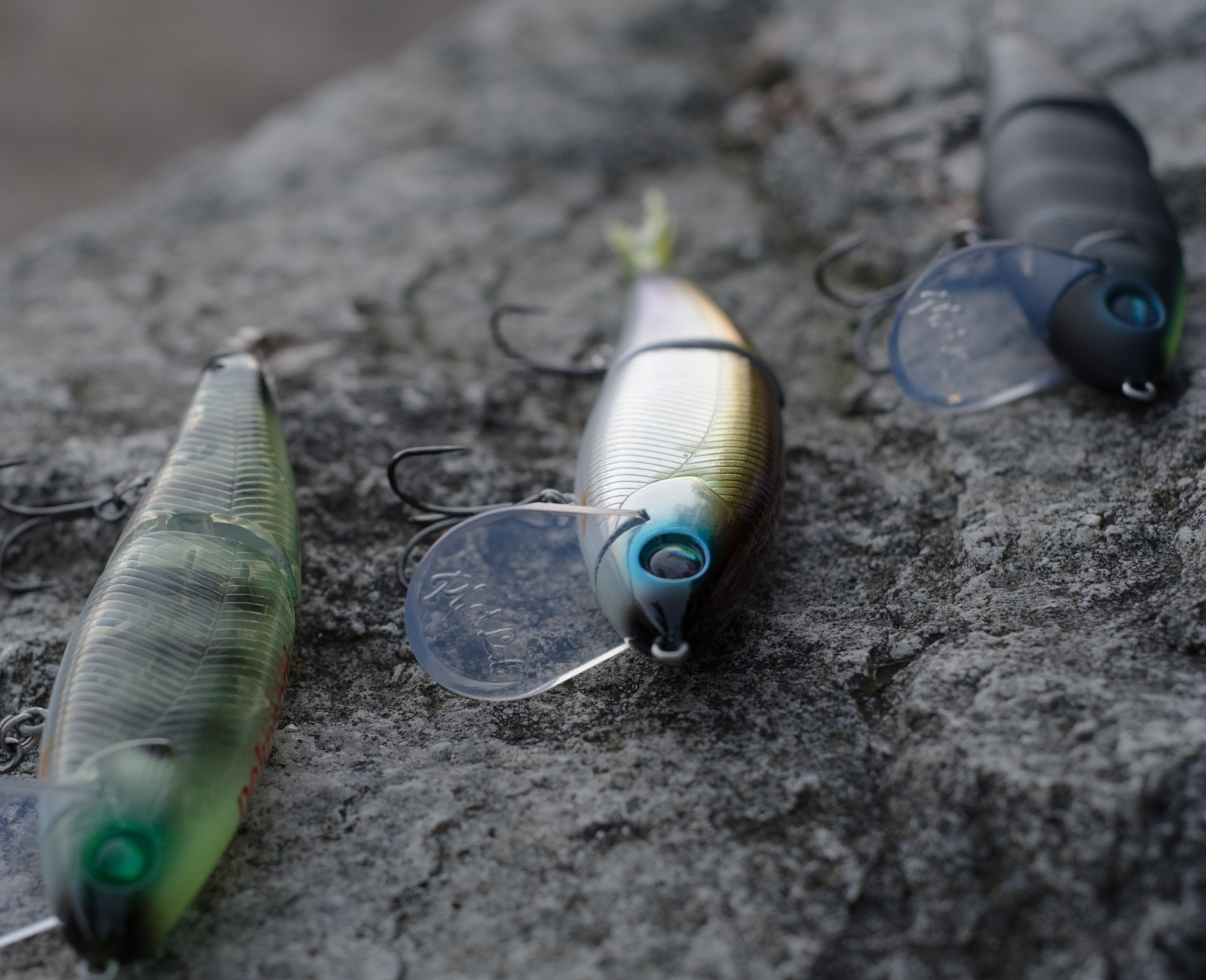 真冬の琵琶湖陸っぱり攻略！ネコソギDSRのデッドスローゲームのコツと