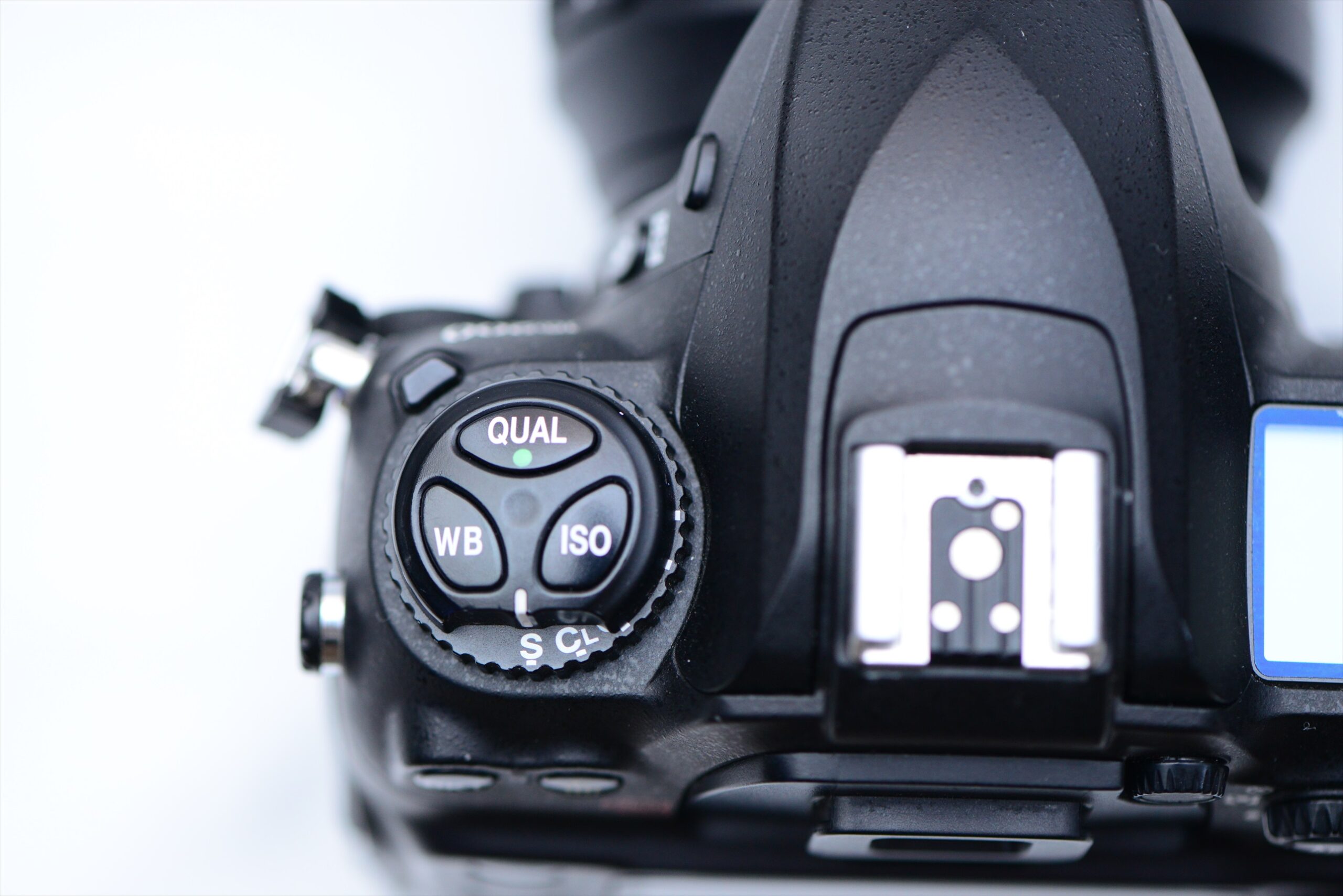 レビュー】Nikon D200 ① | 銀の備忘録