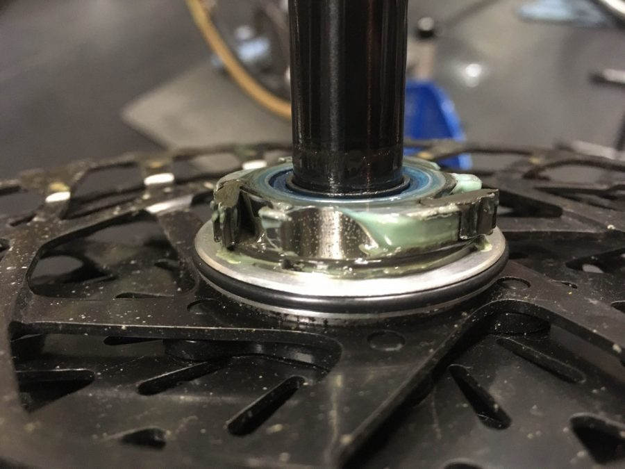 WHITE INDUSTRIES* XMR disc hub rear (black) - BLUE LUG ONLINE STORE