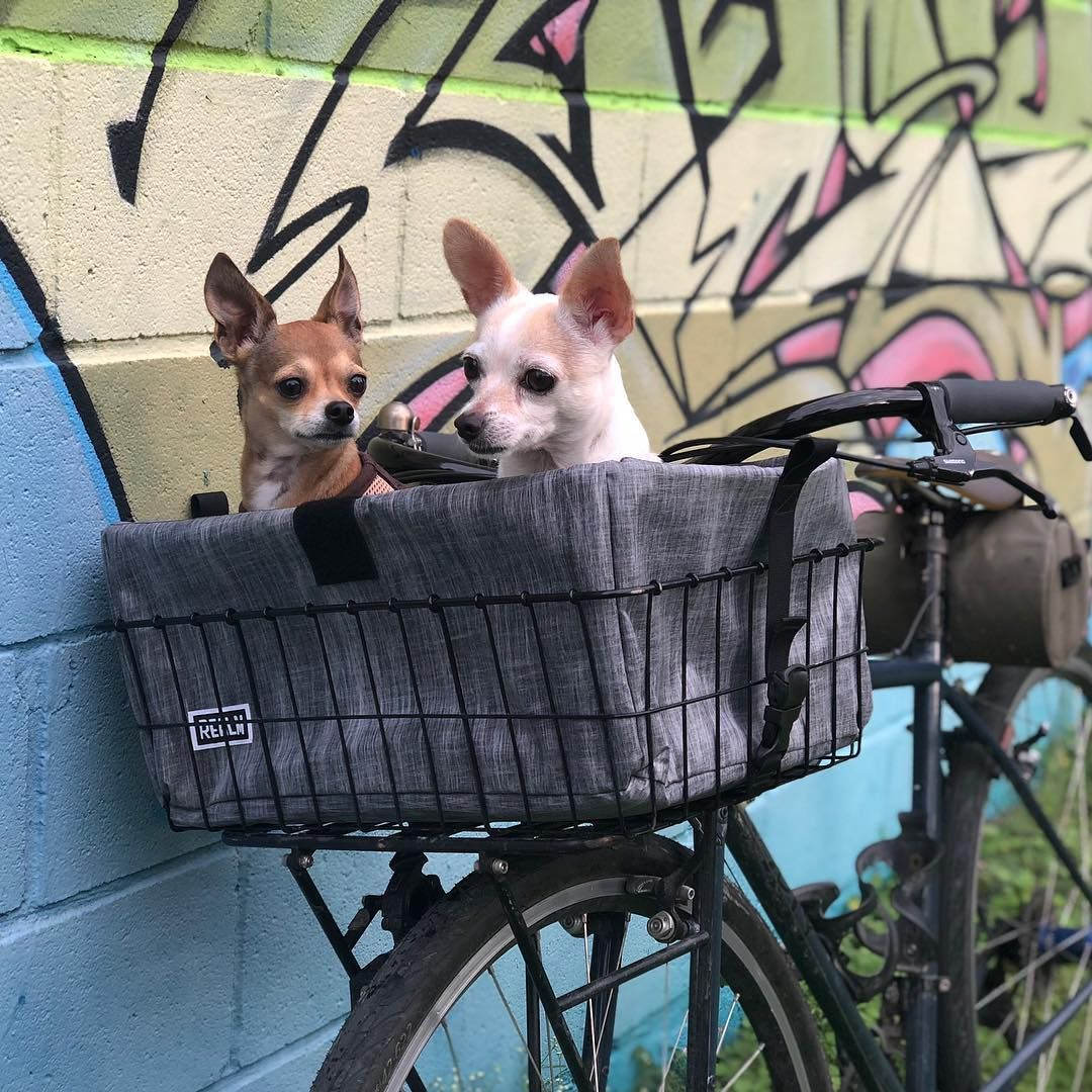 REALM from Austin, Texas - BLUE LUG BLOG | 自転車店 ブルーラグ