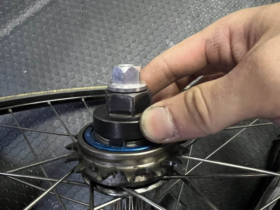 PROFILE RACING* elite freewheel - BLUE LUG ONLINE STORE