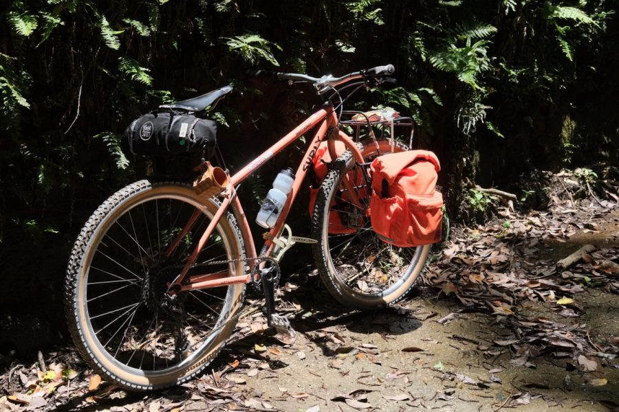 約半年、サーリー 空手猿(karatemonkey)とのおもひで。 - BLUE LUG