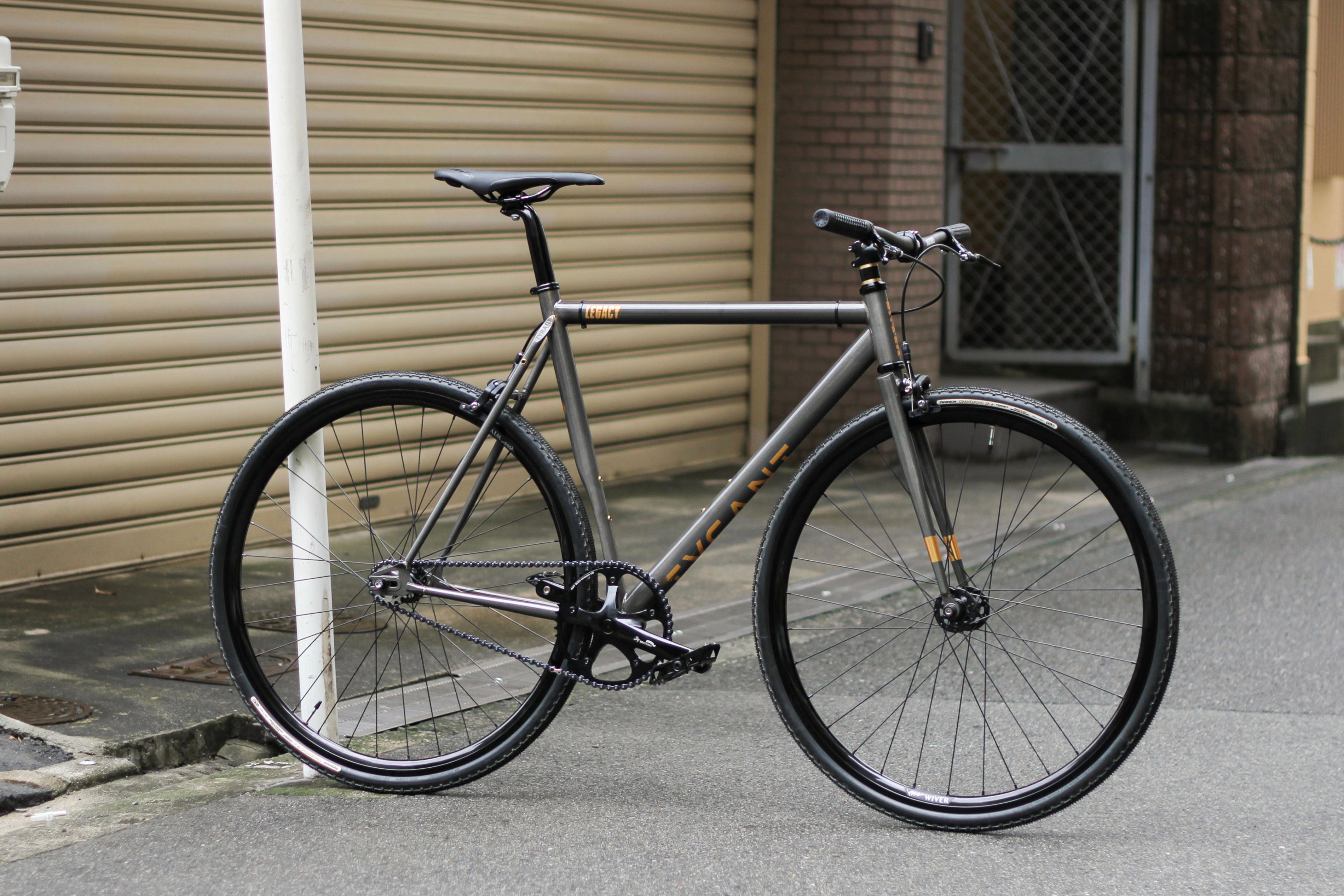 IMG_0181.jpg?v=1728297250&