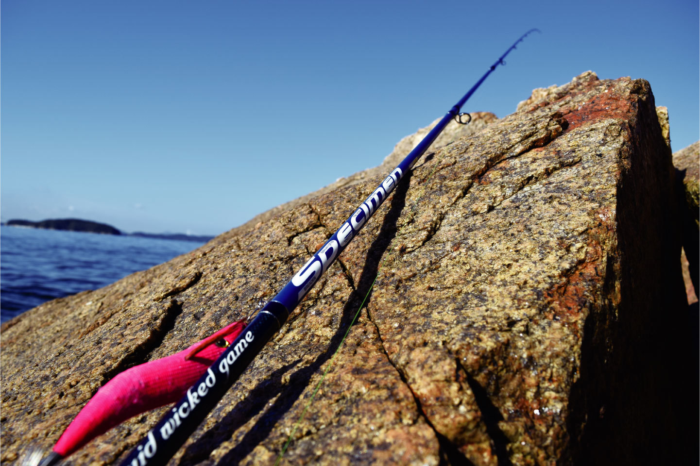 エギングロッド SPECIMEN｜ブリーデン