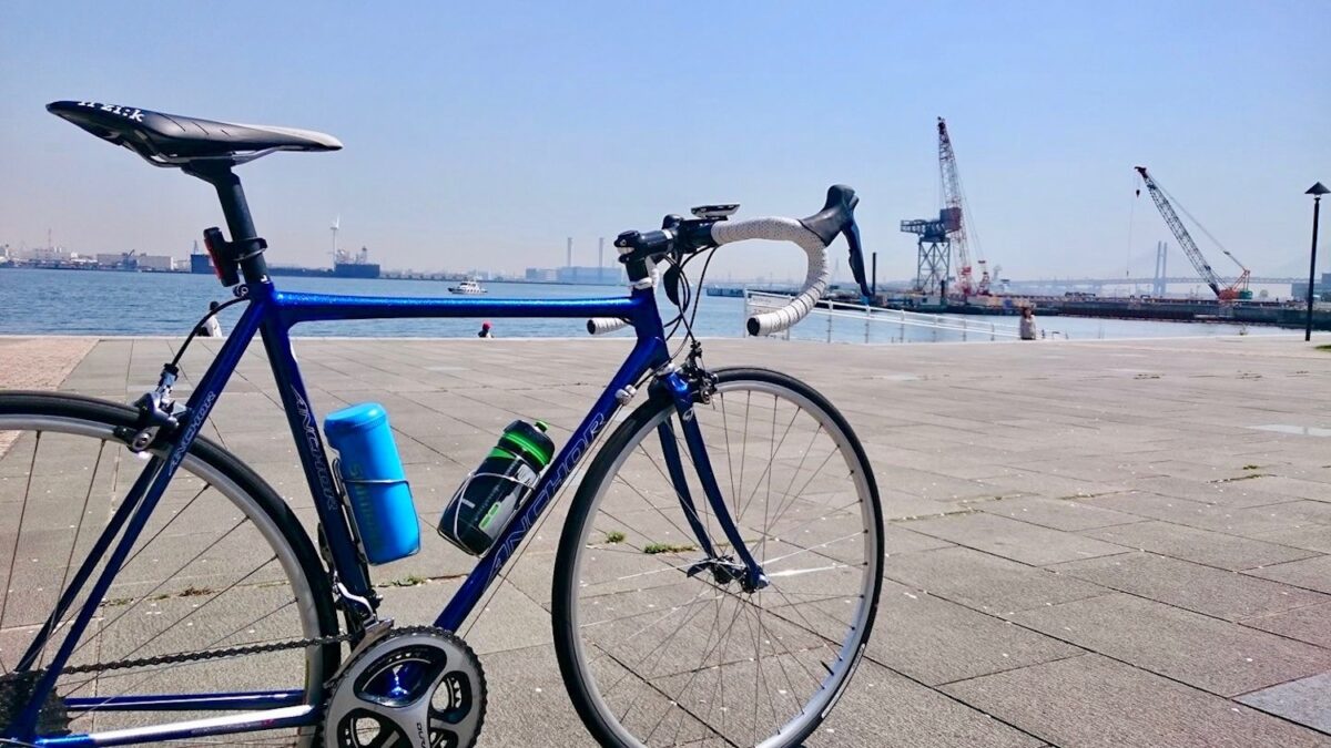 カラーオーダーでさまざまな表情を見せるネオコットクロモリフレーム