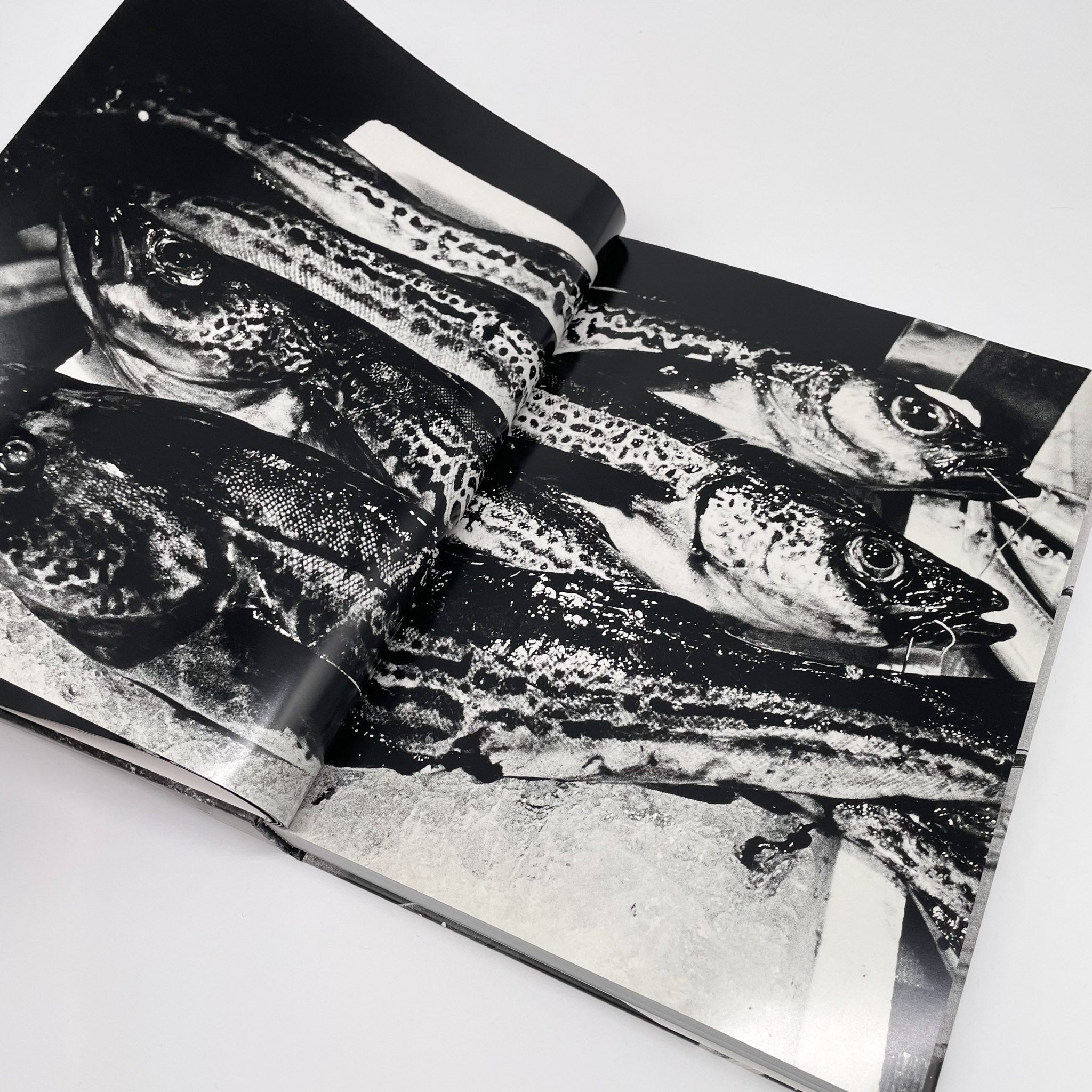 森山大道写真集北海道（签名） – 文福