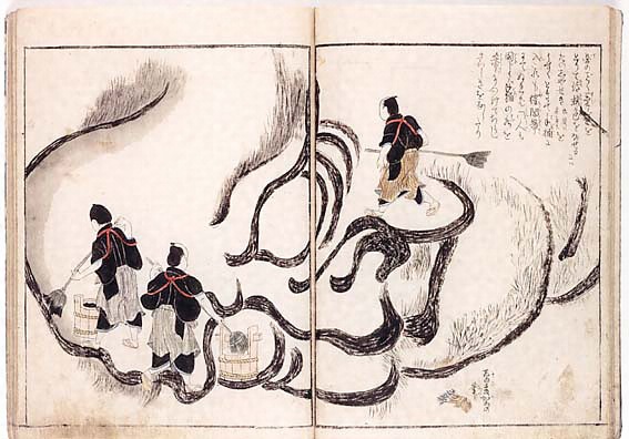 北斎大画即書細図 文化遺産オンライン