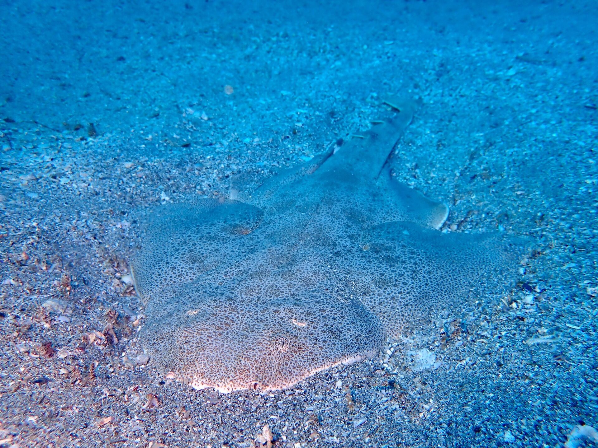 2024.12.27（金） 須江・内浦ビーチへ！ | ログ情報 | 和歌山県串本の