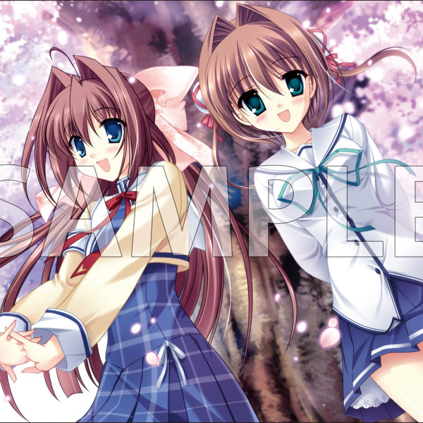 ブシロード ラバーマットコレクション V2 エクストラ Vol.99D.C.Ⅱ