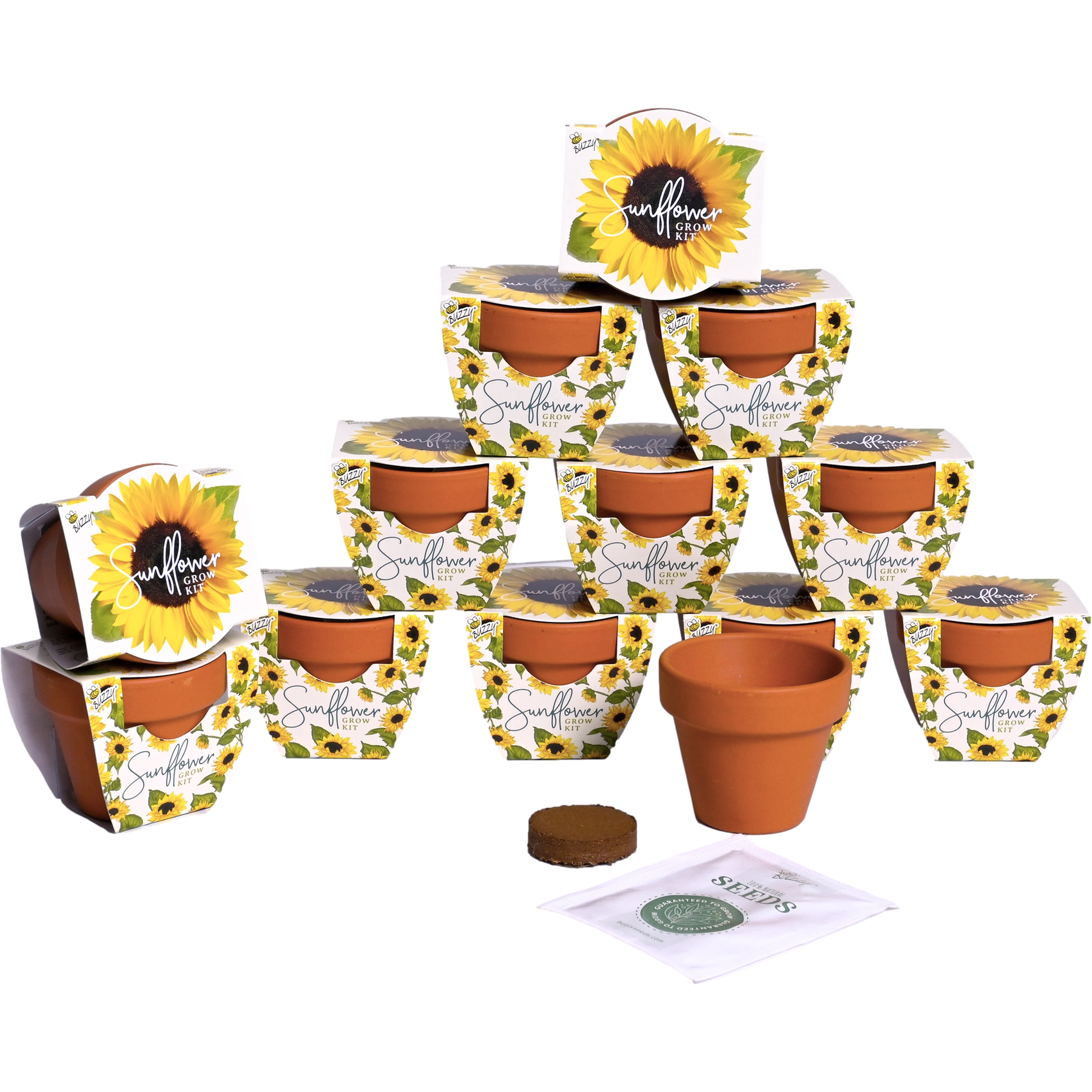 Sunflower Mini Grow Kits for Events (12 Pack) – Buzzy Seeds