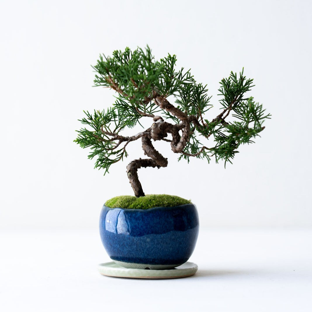 1-1_3ad96841-b2d9-4cf6-af33-