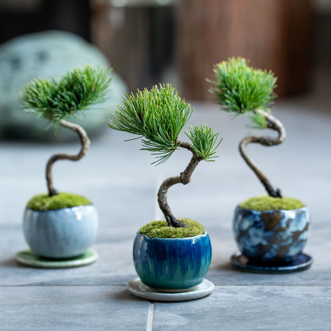 14-1_c58b17c6-41b6-4697-a733-