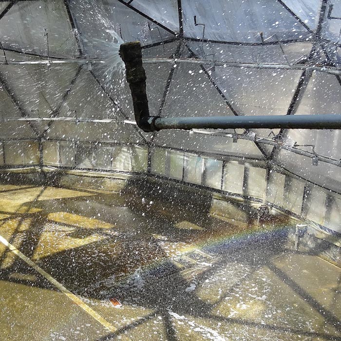 深層海水から作られた塩：Flower Of Ocean（フラワー・オブ