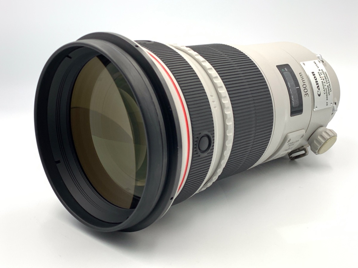 一瞬を止める魔法に - EF300mm F2.8LⅡで撮る極上の瞬間 - 魅惑の中望遠