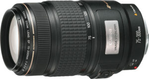EF75-300mm F4-5.6 IS USMで広がる写真の可能性 - 魅惑の中望遠