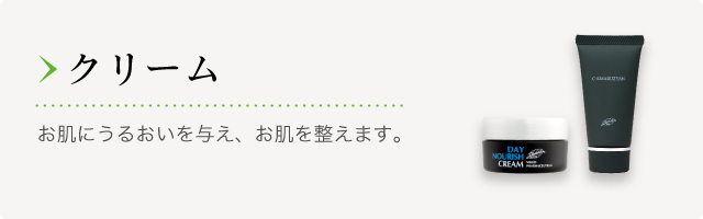 クロロフイル│製品情報