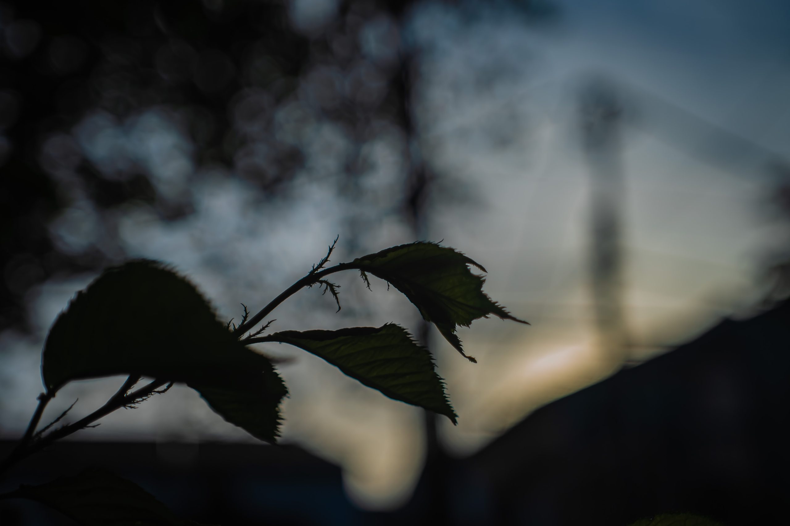 EL-Nikkor 50mm f2.8 ｜引き延ばしレンズという秘境へ。（改造方法