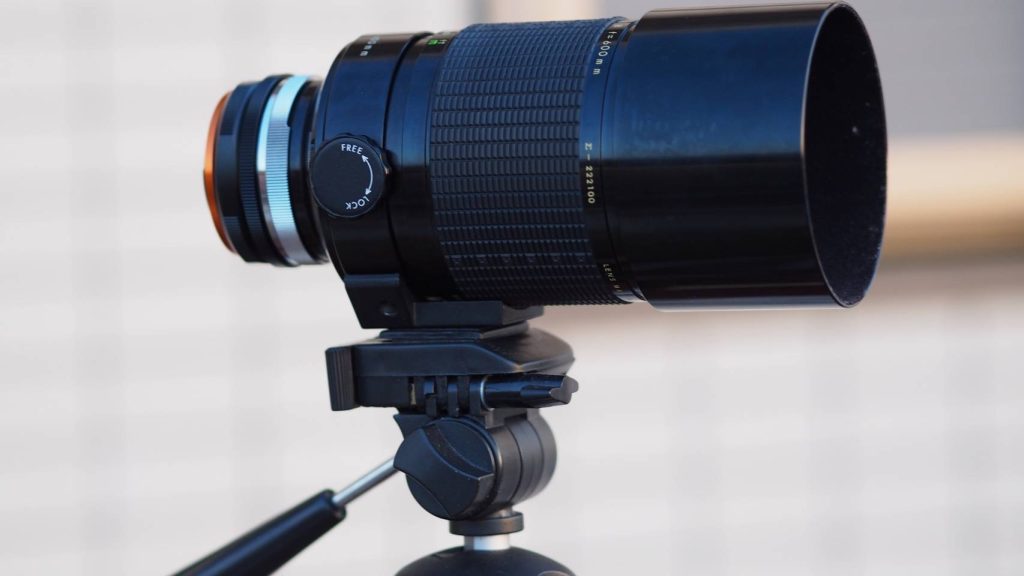 超望遠はロマンの塊！？SIGMA 600mm f8 MIRROR（シグマ）｜レビュー